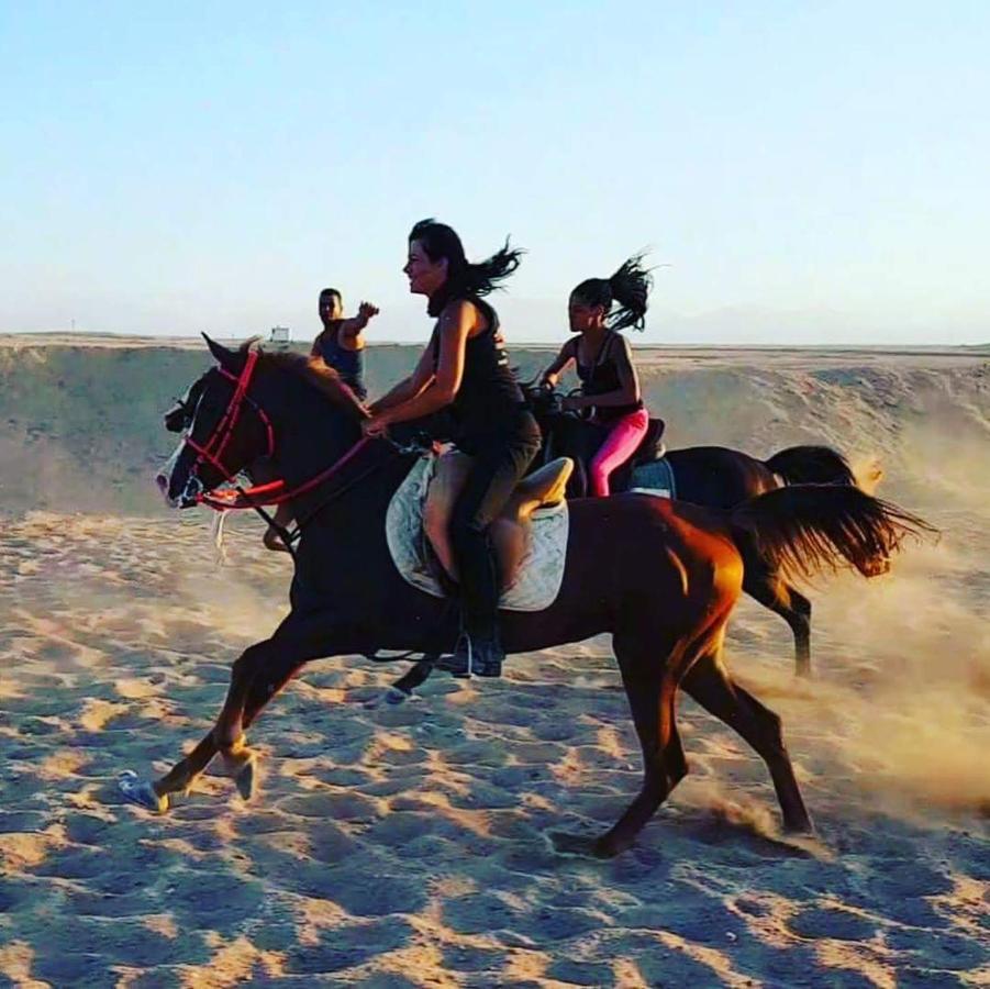 Bed and Breakfast Happy Bedouin House Petra Al Hayy Exterior foto